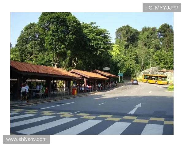 文莱DPMM队重返马来西亚超级联赛 签署三年参赛协议